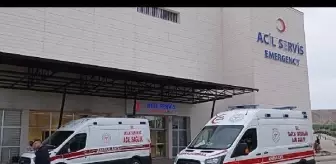 1 yaşındaki çocuğa akrep soktu, yoğun bakımda tedaviye alındı