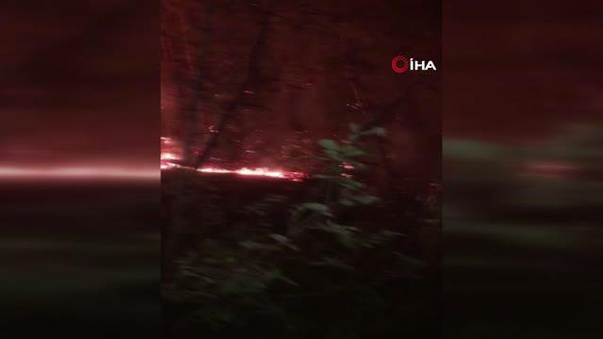 Antalya'nın Akseki ilçesinde orman yangınına müdahale