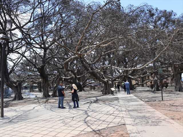 Biden 106 kişinin hayatını kaybettiği yangının vurduğu Maui adasının ismini unutunca dalga konusu oldu Biden 106 kişinin hayatını kaybettiği yangının vurduğu Maui adasının ismini unutunca dalga konusu oldu