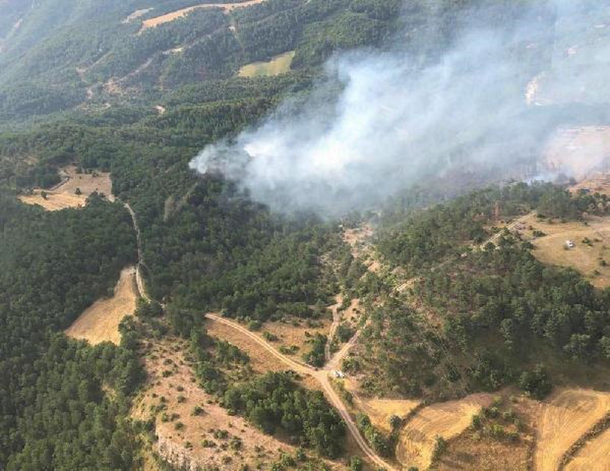 Bolu'da Orman Yangınlarına Müdahale Devam Ediyor