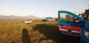 Ordu'da büyükbaş saldırısı sonucu bir kadın hayatını kaybetti