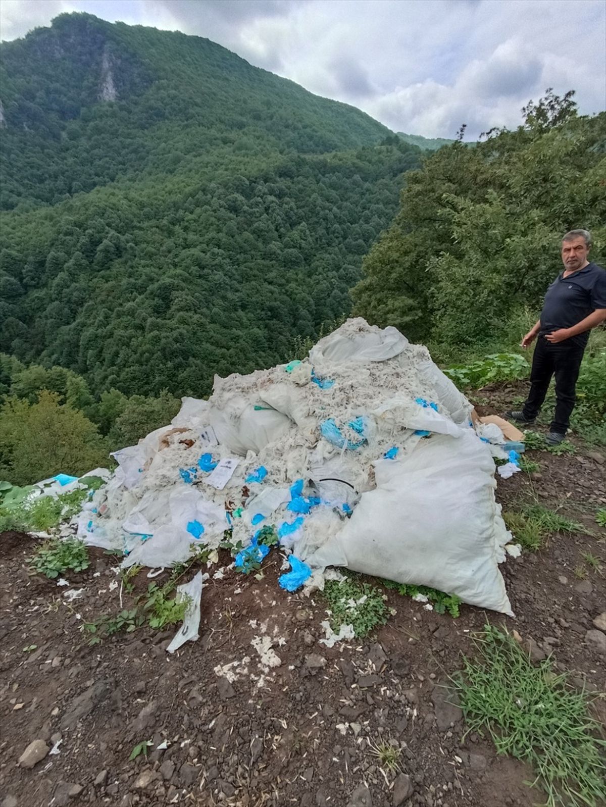 Kocaeli'de Ormanlık Alana Bırakılan Tıbbi Sarf Malzemeleri Toplandı