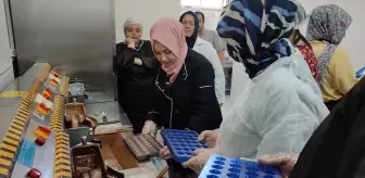 Çorum'dan Gelen Kursiyerler Sarıoğlan'da Butik Çikolata Hazırlama Kursuna Katıldı