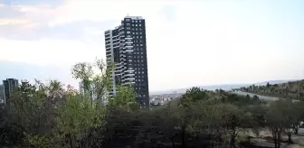 Ankara'da Çankaya ilçesinde çıkan yangın söndürüldü