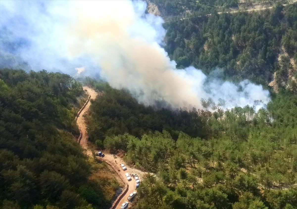 Bolu Mudurnu'da Orman Yangınına Müdahale Ediliyor