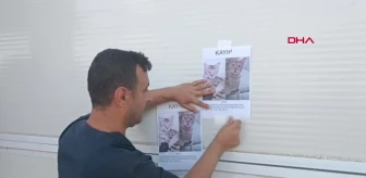 Depremde bacağı ampute edilen kedi sahibini arıyor