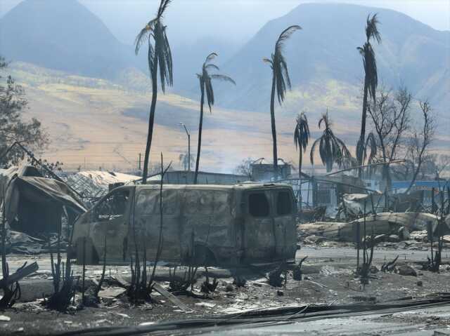 Hawaii'deki orman yangınlarında can kaybı 111'e yükseldi