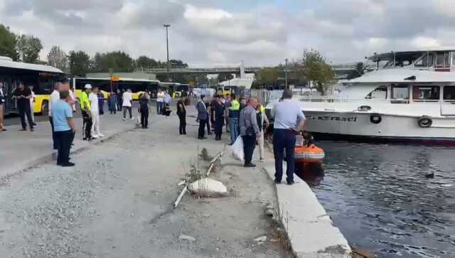 İstanbul'da akılalmaz kaza! İETT otobüsü denize düştü