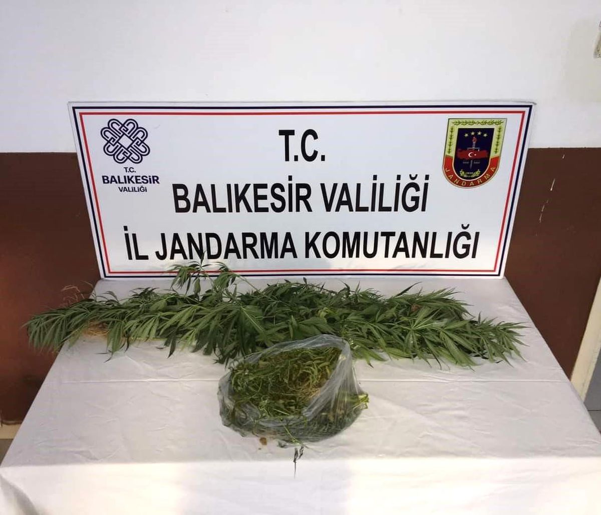 Erdek'te Kirazlı Manastırı'nda Yasa Dışı Kenevir Ekimi