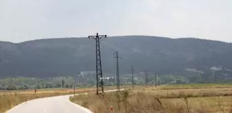 Tavşanlı'da Elektrik Direğine Konan Leylekler Akıma Kapılarak Telef Oldu