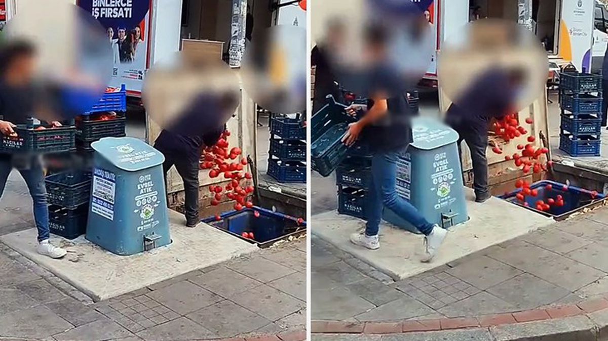 Pendik'te bir zincir markette kasalar dolusu domates çöpe atıldı
