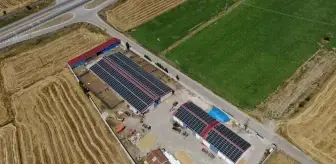 Sivas'ta Süt Çiftliği Güneş Enerjisi Santraline Dönüştü