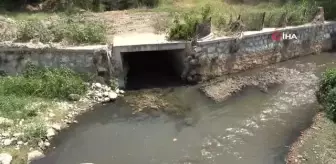 Ürünlerini kirli suyla besleyen üreticiler tedirgin oldu