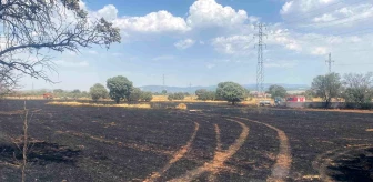 Uşak'ın Banaz ilçesinde çıkan örtü yangınında 100 dönüm buğday ekili arazi zarar gördü