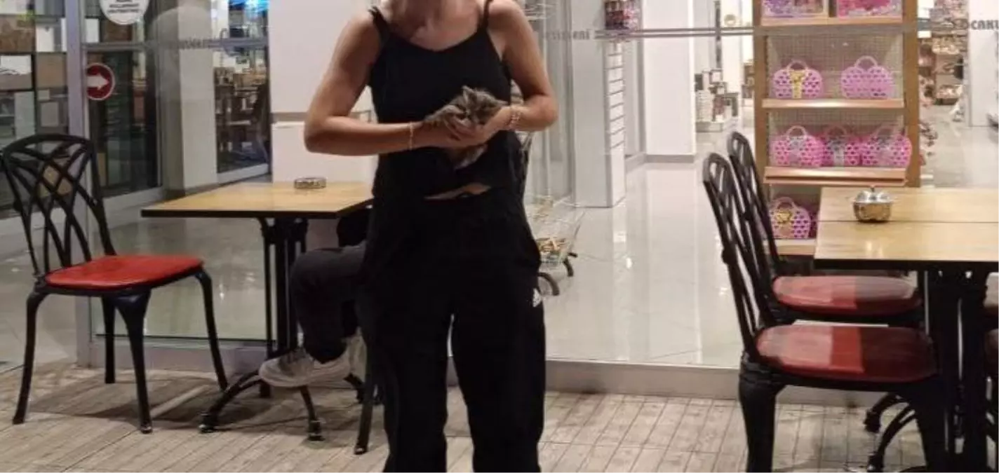 Çorum'da bir kedi, iki kez kurtarıldı