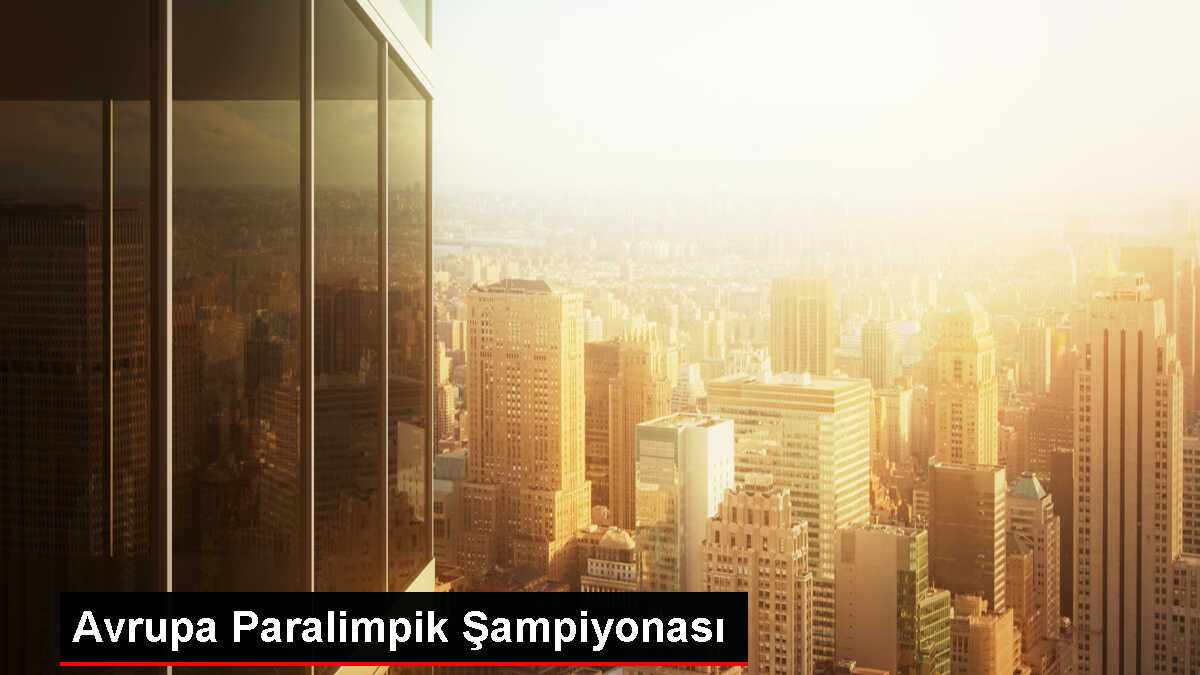 Hollanda'da Avrupa Paralimpik Şampiyonası'nda Türk atıcılar dereceye giremedi