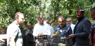 Bursa Büyükşehir Belediye Başkanı Alinur Aktaş, Gürsu'da Çiftçileri Ziyaret Etti
