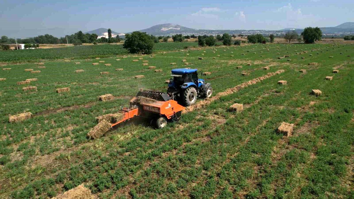 Muğla Büyükşehir Belediyesi Kaba Yem Desteği Projesi