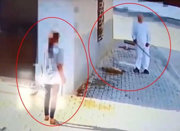 Mardin'de infial yaratan görüntü! Yerde yatan yavru köpeği başına demir çubukla vurarak öldürdü Mardin'de infial yaratan görüntü! Yerde yatan yavru köpeği başına demir çubukla vurarak öldürdü