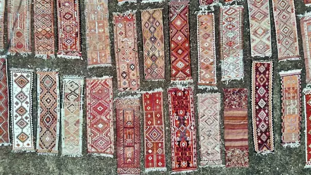 Türkiye'nin en kıymetli tarlasında gece gündüz nöbet tutuyorlar! Bazı ürünler 10-15 bin dolar değerinde