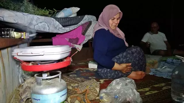 Türkiye'nin en kıymetli tarlasında gece gündüz nöbet tutuyorlar! Bazı ürünler 10-15 bin dolar değerinde