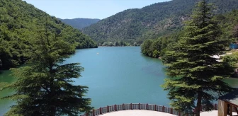 Amasya'nın Taşova ilçesinde bulunan Boraboy Gölü Tabiat Parkı, serin havasıyla vatandaşların uğrak yeri oldu