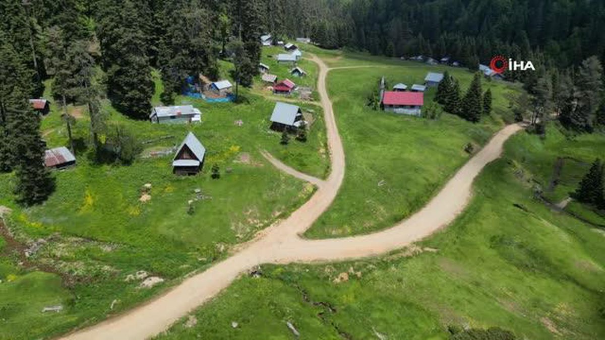 Düzce'nin serinleten yaylaları böyle görüntülendi