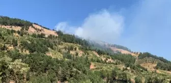 Gaziantep'te İslahiye ilçesinde çıkan orman yangını söndürüldü