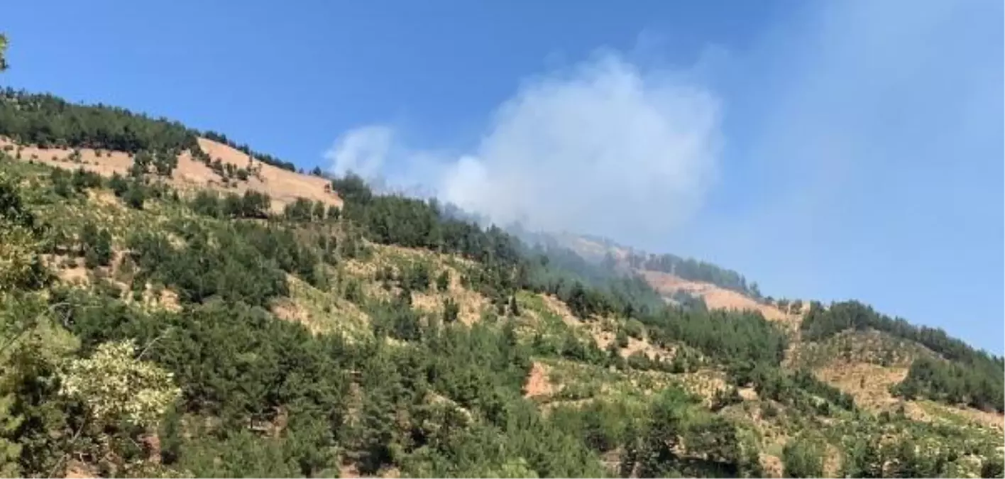 Gaziantep'te İslahiye ilçesinde çıkan orman yangını söndürüldü