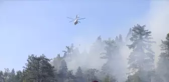 Kahramanmaraş'ta Orman Yangını Kontrol Altına Alındı