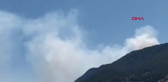 Kahramanmaraş Andırın'da Orman Yangını