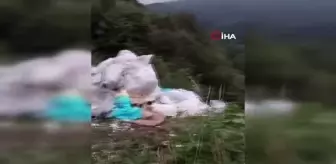 Kocaeli'de Ormanlık Alana Atık Bırakan Firmaya 812 Bin TL Cezası