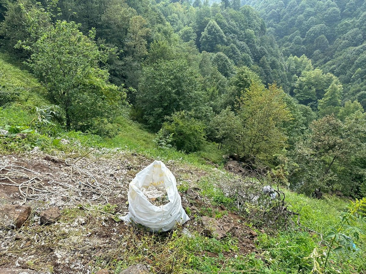 Kocaeli'de Ormanlık Alana Tıbbi Sarf Malzeme Döken Firmaya 812 Bin TL Para Cezası