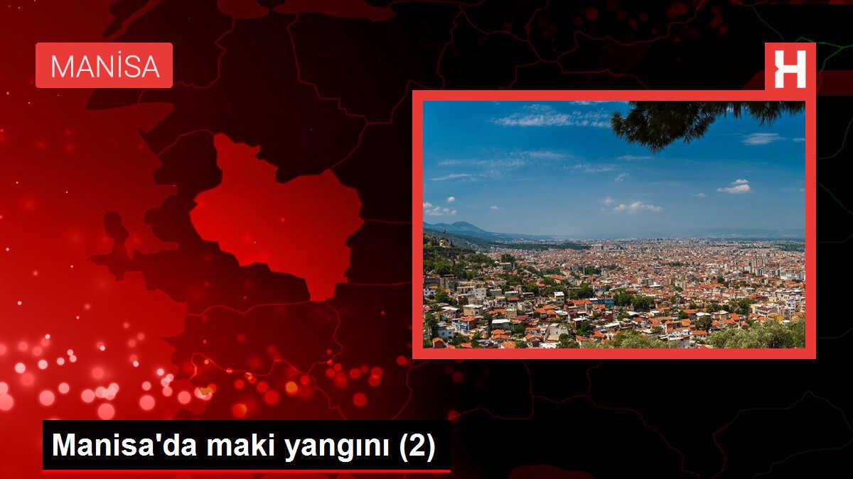 Manisa'da maki yangını (2)