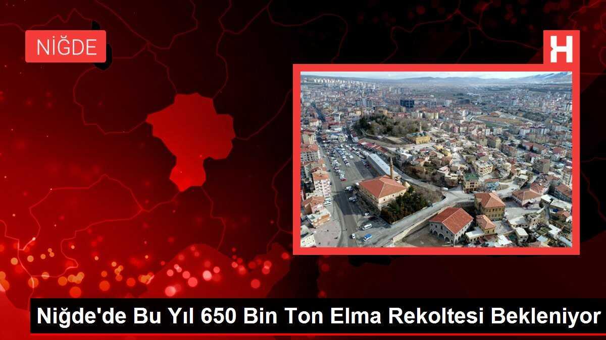 Niğde'de Bu Yıl 650 Bin Ton Elma Rekoltesi Bekleniyor