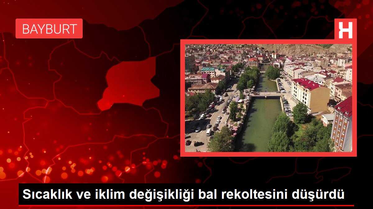 Sıcaklık ve iklim değişikliği bal rekoltesini düşürdü