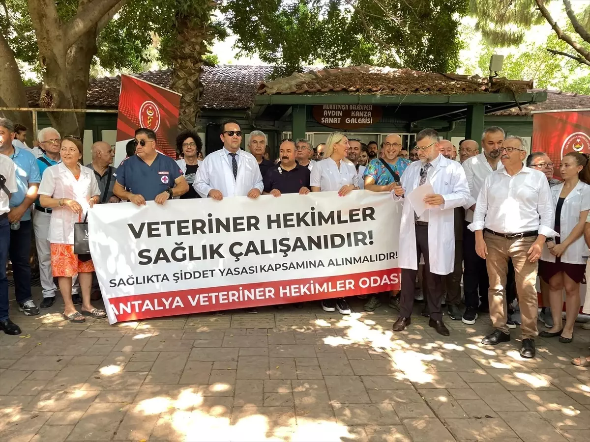 Antalya'da Veteriner Hekimler Şiddete Tepki Gösterdi - Haberler