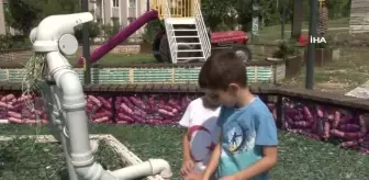 Kocaeli'de Sıfır Atık Parkı: Atıklardan Oluşan Yenilikçi Bir Proje