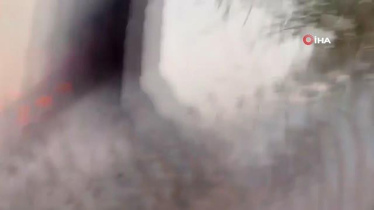 Tenerife Adası'ndaki Orman Yangını Kasıtlı Çıkarıldı