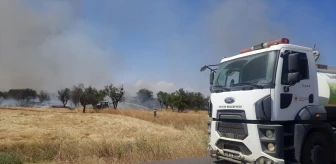 Konya'nın Hüyük ilçesinde yangında arpa tarlası ve badem ağaçları yandı