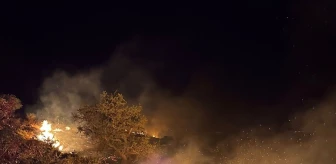 Marmara Adası'ndaki makilik alandaki yangın kontrol altına alındı