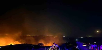 Balıkesir Marmara Adası'nda Makilik Alanda Yangın Çıktı