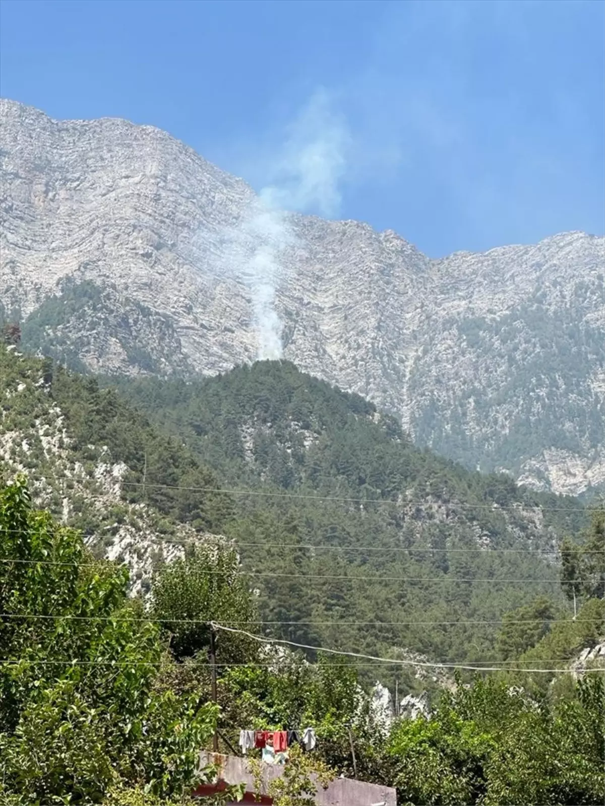 Osmaniye'de çıkan orman yangını kontrol altına alındı