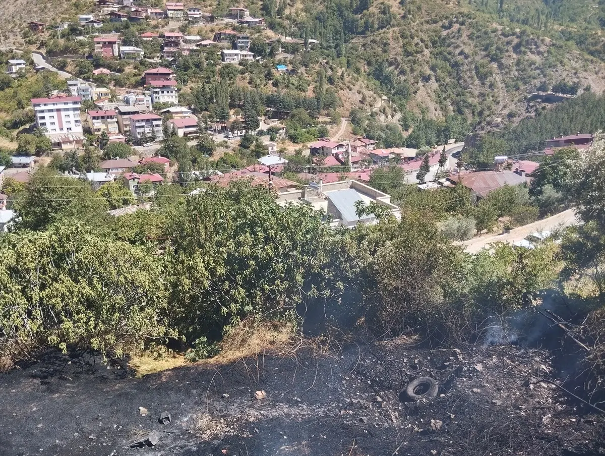 Adana'da Saimbeyli ilçesinde çıkan bahçe yangını söndürüldü