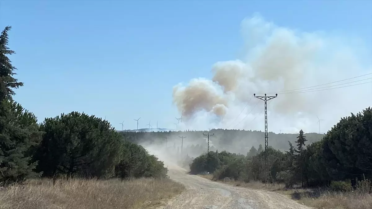 Silivri'de Ormanlık Alanda Çıkan Yangın Kontrol Altına Alındı