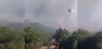 Silivri'de ormanlık alanda çıkan yangın kontrol altına alındı