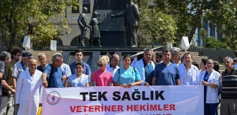 Veteriner Hekimler İstanbul'da İş Bıraktı, Sağlıkta Şiddet Yasası İstedi