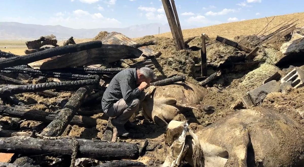 Hakkari'de çıkan yangında 7 inek telef oldu