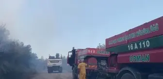 Karacabey'deki Yangın 3 Saatte Kontrol Altına Alındı