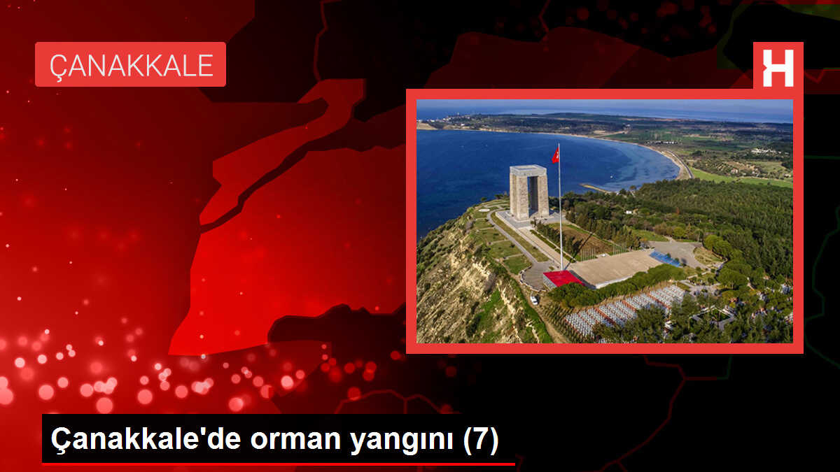 Çanakkale'deki Orman Yangınında 6 Köy Tahliye Edildi